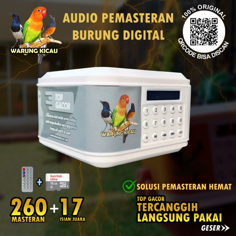 Daftar Gacor Alternatif Terbaik – Solusi Suara Burung Menjadi Masteran